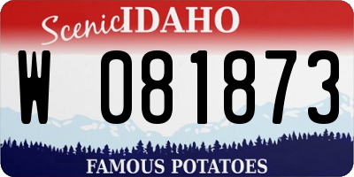 ID license plate W081873