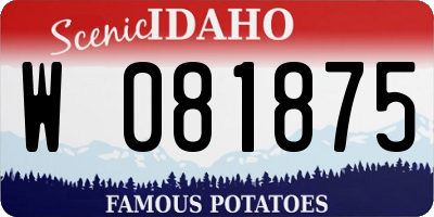 ID license plate W081875