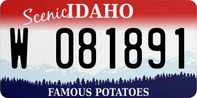 ID license plate W081891