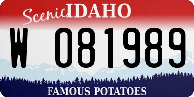 ID license plate W081989