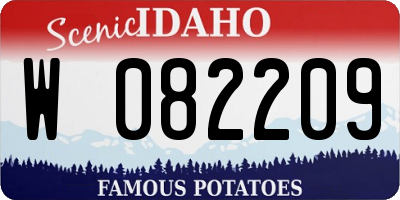 ID license plate W082209