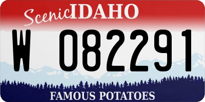 ID license plate W082291