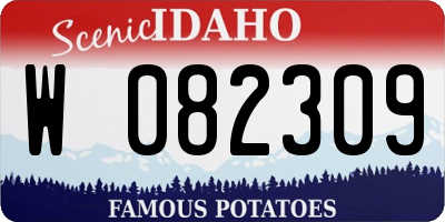 ID license plate W082309