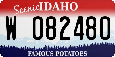 ID license plate W082480