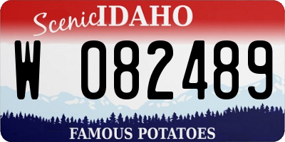 ID license plate W082489