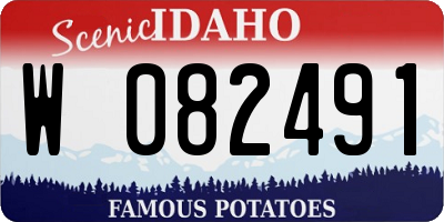 ID license plate W082491