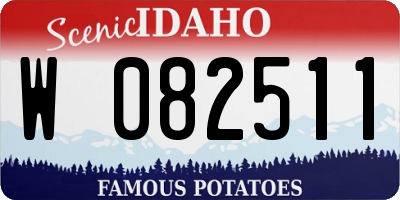 ID license plate W082511