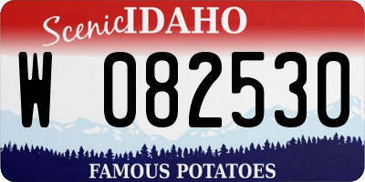 ID license plate W082530