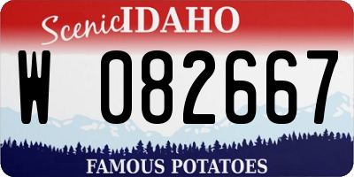 ID license plate W082667