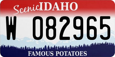 ID license plate W082965