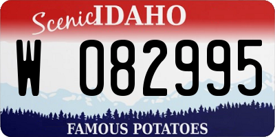 ID license plate W082995
