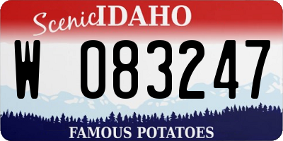 ID license plate W083247
