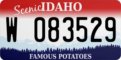ID license plate W083529