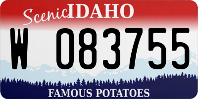 ID license plate W083755