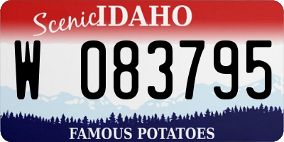 ID license plate W083795