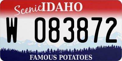 ID license plate W083872