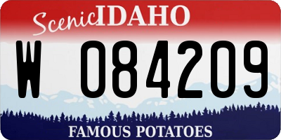 ID license plate W084209