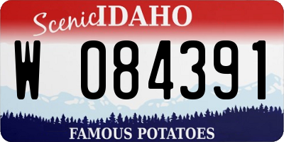 ID license plate W084391