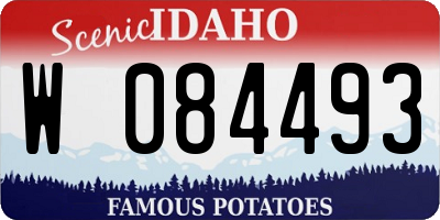 ID license plate W084493