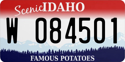 ID license plate W084501