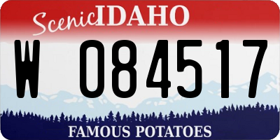 ID license plate W084517