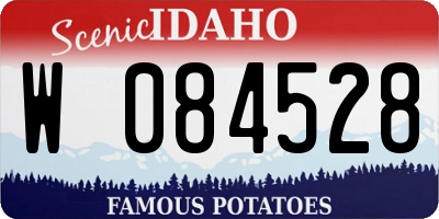 ID license plate W084528