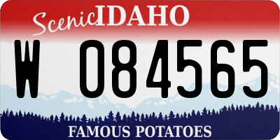 ID license plate W084565