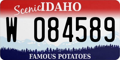 ID license plate W084589