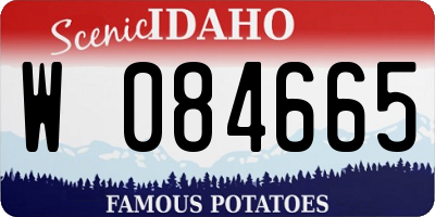 ID license plate W084665