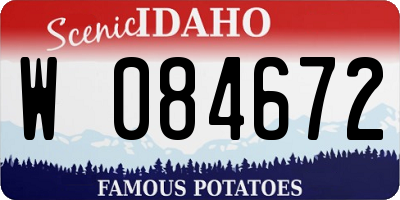 ID license plate W084672