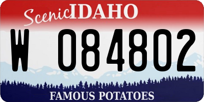 ID license plate W084802