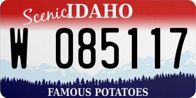 ID license plate W085117