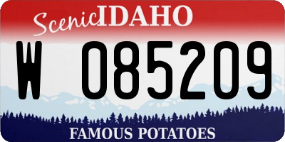 ID license plate W085209