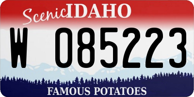 ID license plate W085223