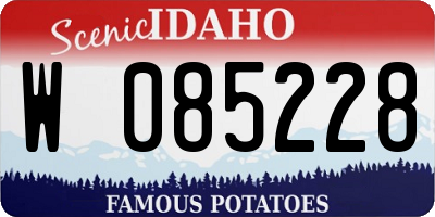 ID license plate W085228