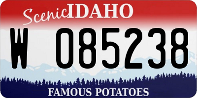 ID license plate W085238