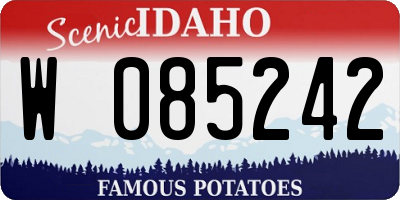 ID license plate W085242