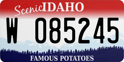 ID license plate W085245