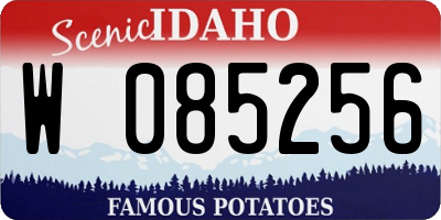 ID license plate W085256