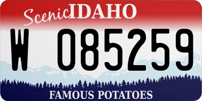 ID license plate W085259