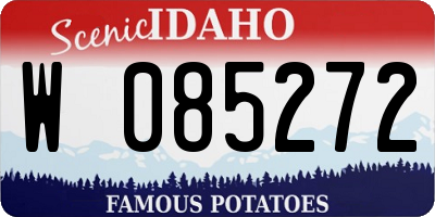ID license plate W085272