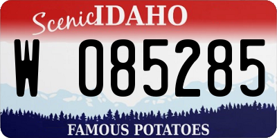 ID license plate W085285