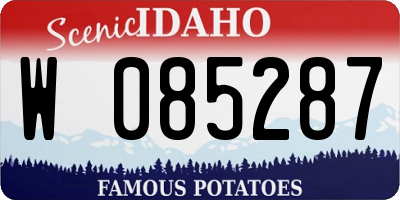 ID license plate W085287