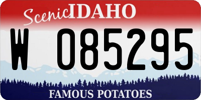ID license plate W085295