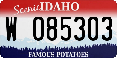 ID license plate W085303