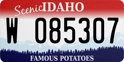 ID license plate W085307