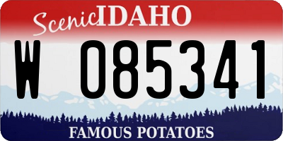 ID license plate W085341