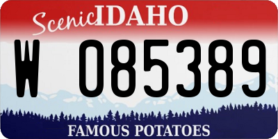ID license plate W085389