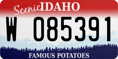 ID license plate W085391