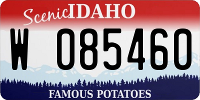 ID license plate W085460